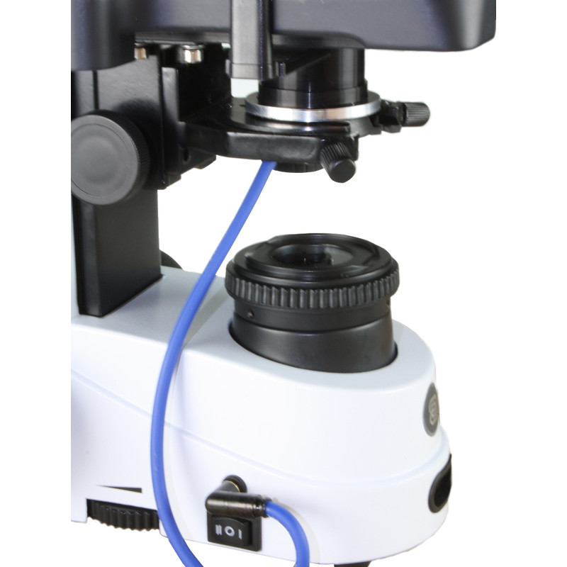 Euromex Microscopio iScope IS.1153-PLi/DF, trino, HF, DF, infinity, plan, 40-1000x, LED