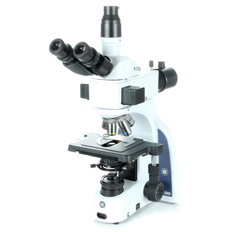 Euromex Microscopio iScope IS.3153-PLi/LB, trino