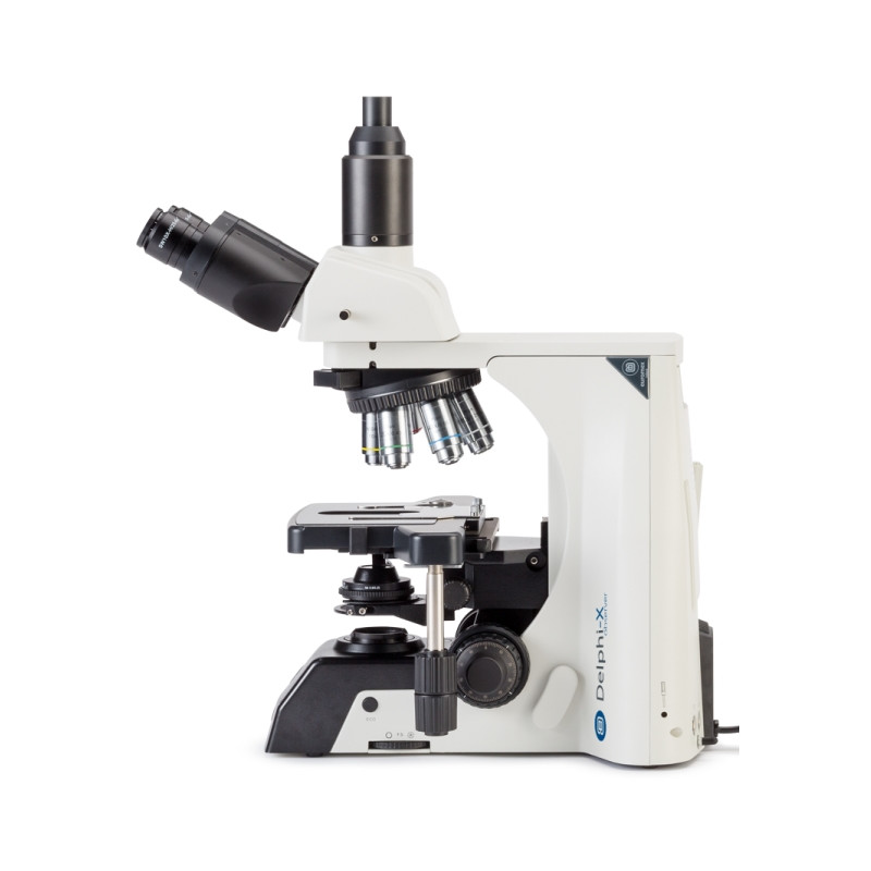 Euromex Microscopio DX.1153-APLi, trino, 40x - 1000x, fluarex