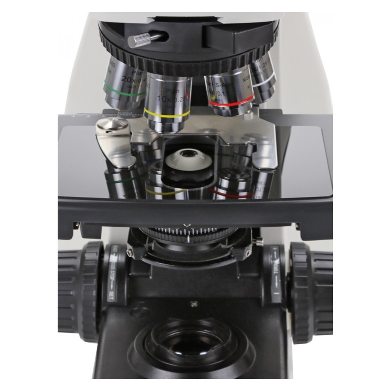 Euromex Microscopio DX.1153-PLPHi, phase, trino, infinity, 40x - 1000x