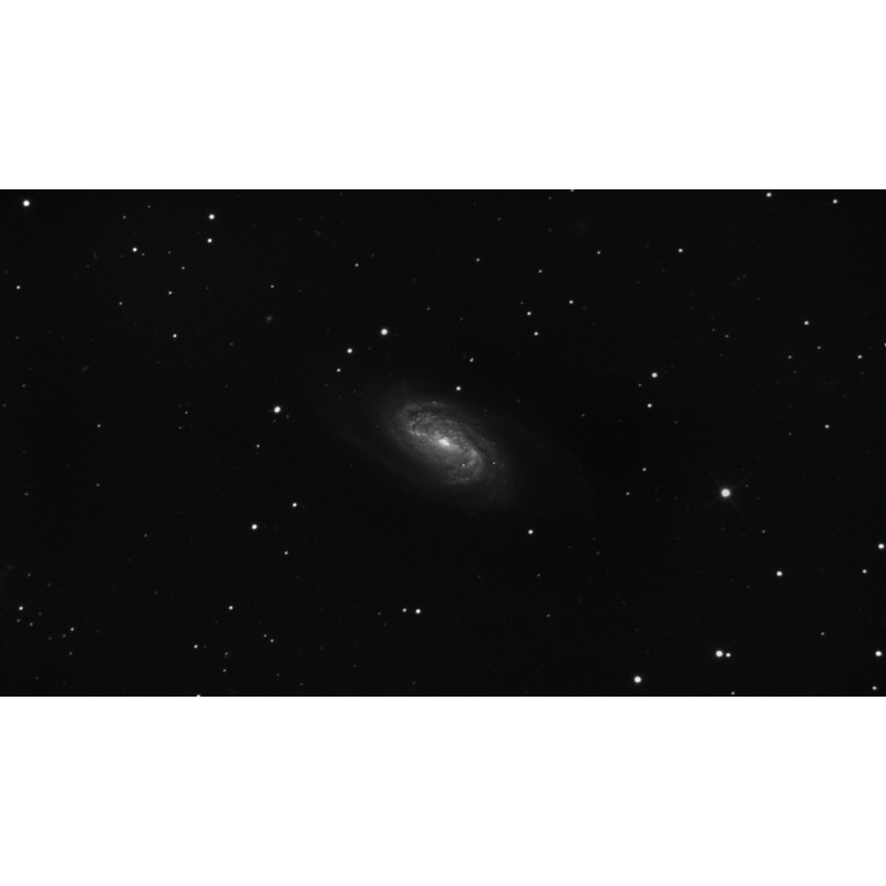 ToupTek Cámara EP3-2300-KMC Deep Sky Mono