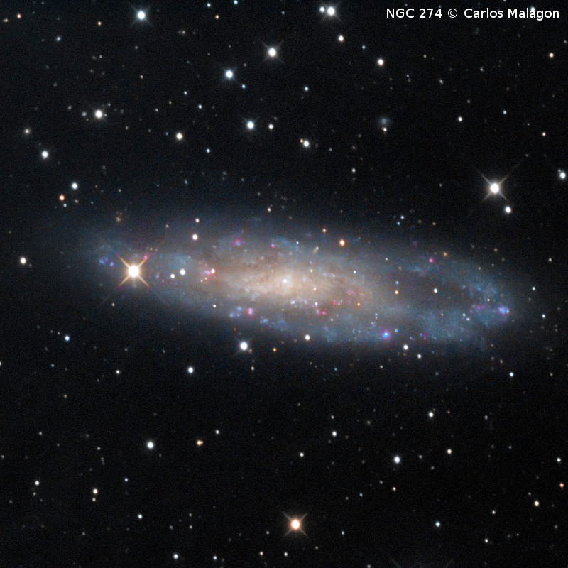 Omegon Telescopio RC 154/1370 EQ570DX
