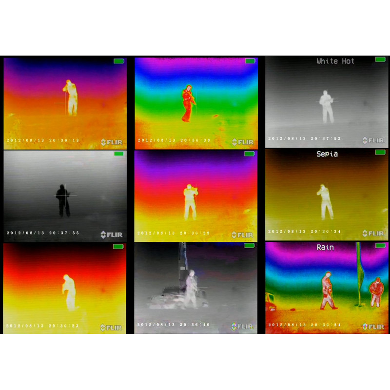 Armasight Cámara térmica Command 336, 3-12x50 (60 Hz)