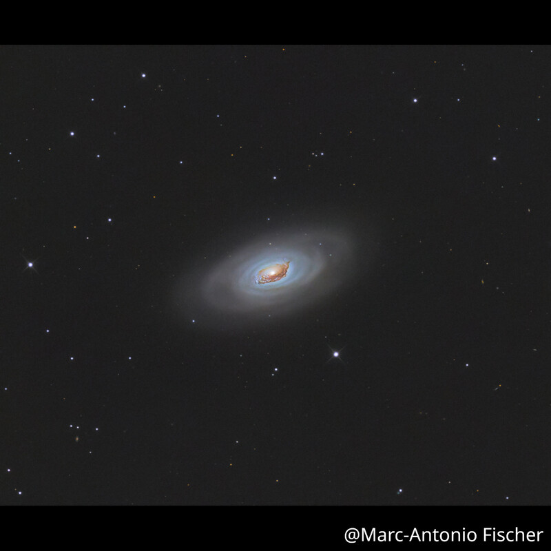 Omegon Telescopio Pro Astrograph 254/1016 OTA