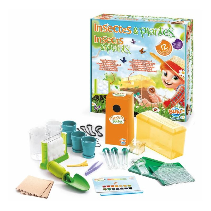 Buki Insectos y plantas