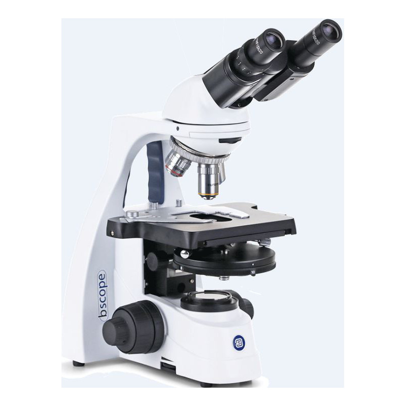 Euromex Microscopio BS.1152-EPLPH, bino, 40x-1000x