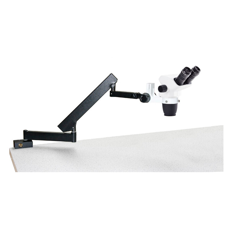 Euromex NZ.1702-A, NexiusZoom EVO, 6,5x a 55x, soporte articulado, sin iluminación, binocular