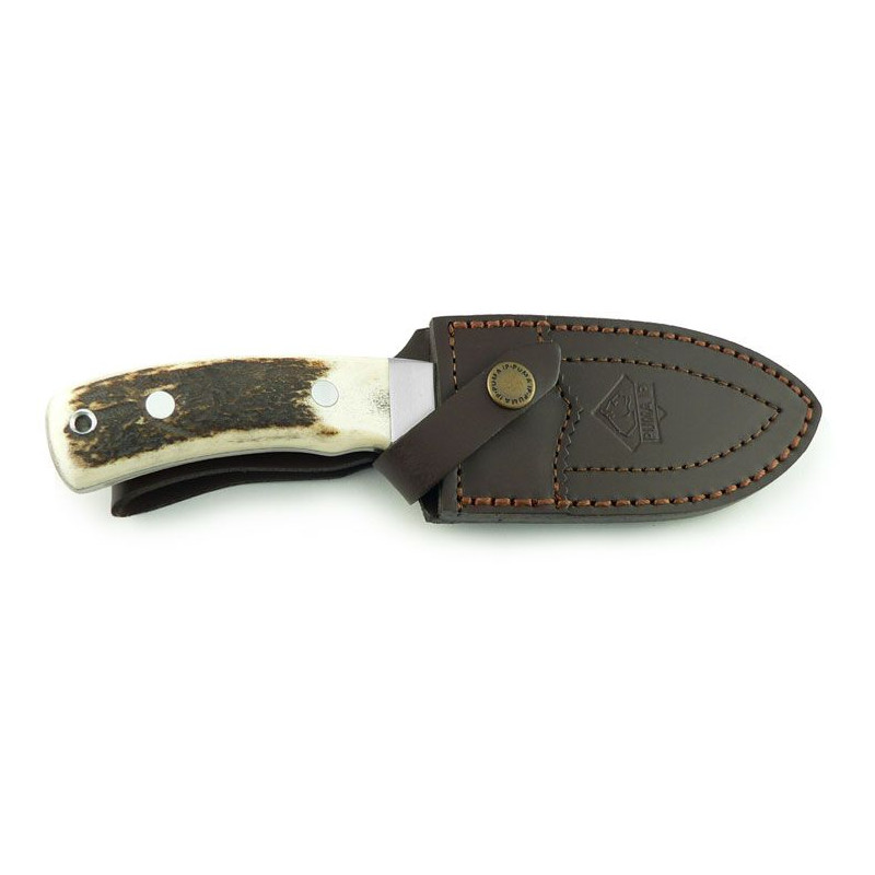 Minox Binoculares BL 8x56 HD Juego para jabalí