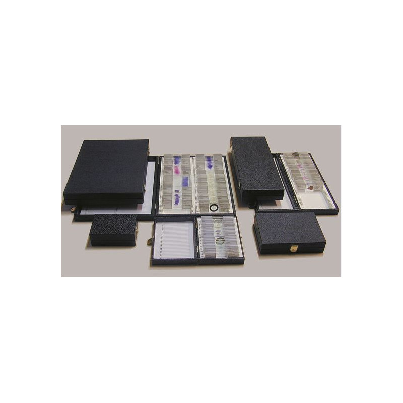 LIEDER K25, Recipiente para 25 preparados