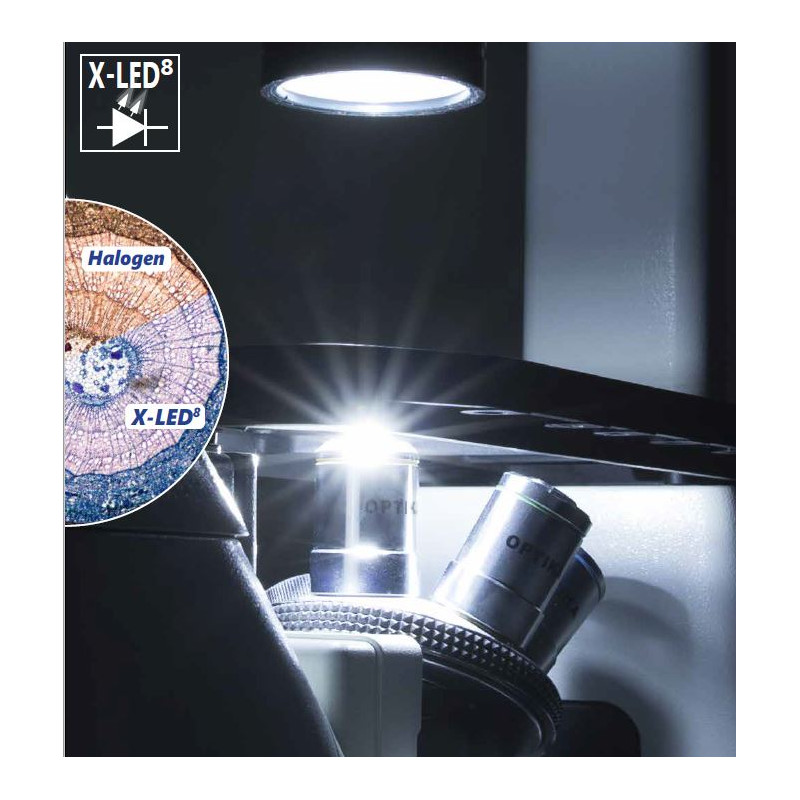 Optika Microscopio IM-3FL4-UK, trino, invertido, FL-HBO, Filtro B&G, IOS LWD U-PLAN F, 100x-400x, Reino Unido