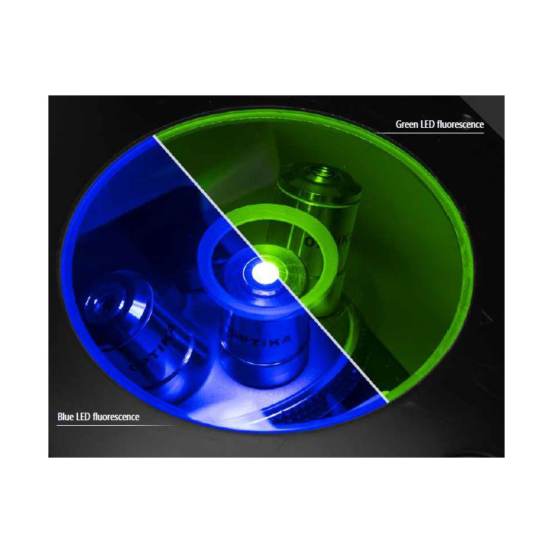 Optika Microscopio IM-3FL4-UK, trino, invertido, FL-HBO, Filtro B&G, IOS LWD U-PLAN F, 100x-400x, Reino Unido