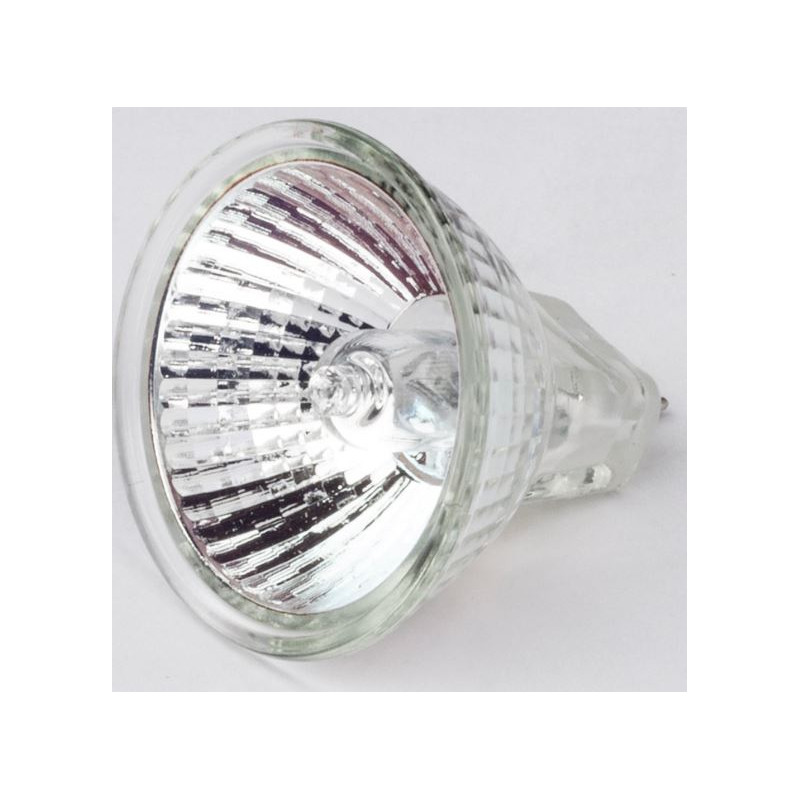 Motic Lámpara halógena de repuesto de 12 V/10 W para trípode R2GG (luz incidente) (SMZ-161)