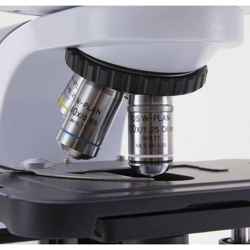 Optika Microscopio B-510DKIVD, trino, campo oscuro, W-PLAN IOS, W-PLAN, 40x-1000x, DIV
