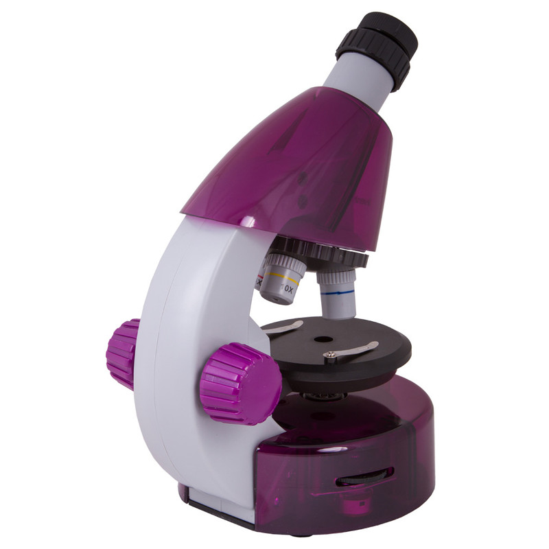 Levenhuk Microscopio LabZZ M101 Amethyst