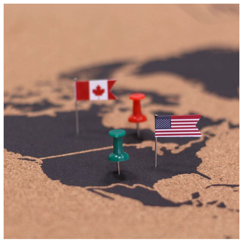 Miss Wood Mapamundi Woody Map Natural Cork L black