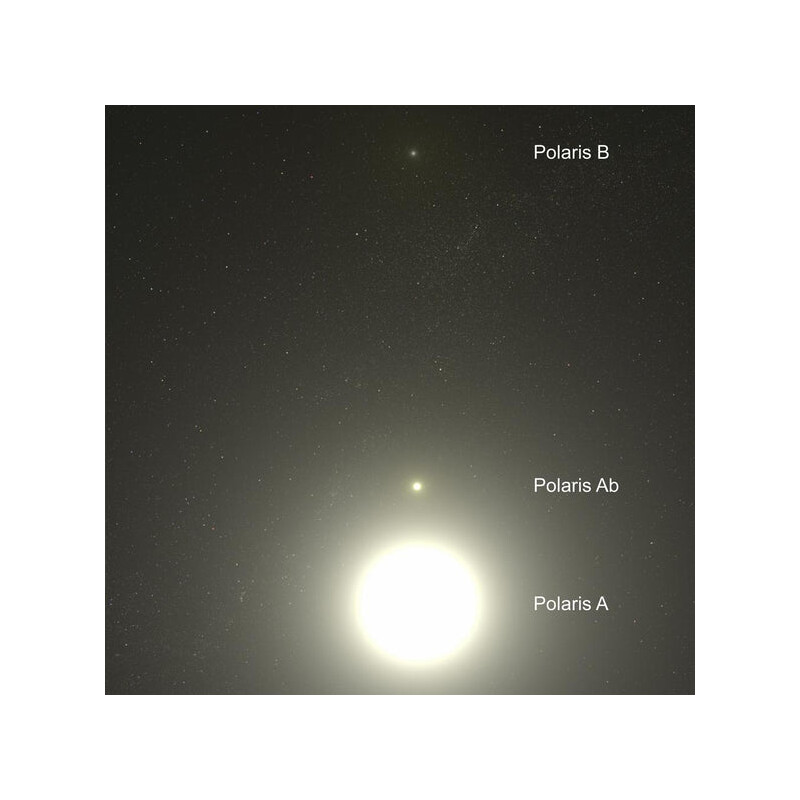 Celestial Buddies Polaris Ab y Polaris B