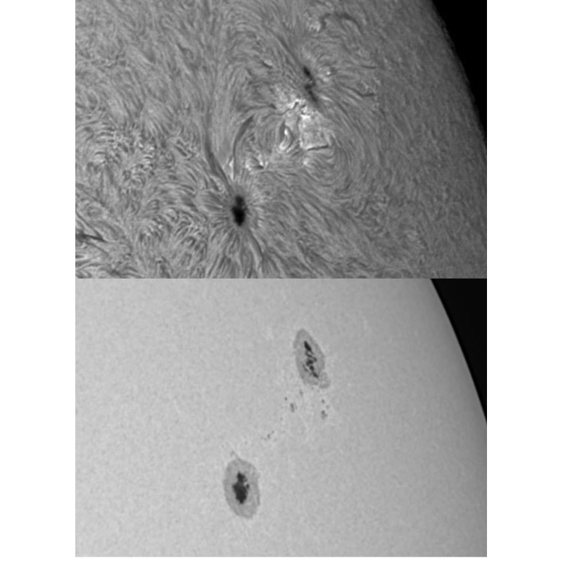 Meade Cámara LPI-G Advanced Mono