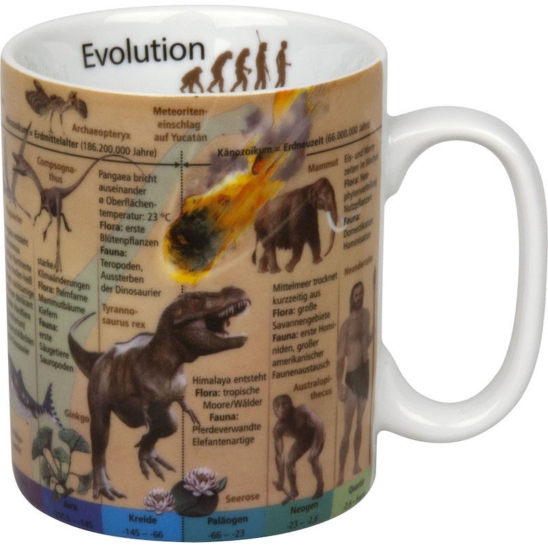 Könitz Taza Vaso de conocimiento Evolution de