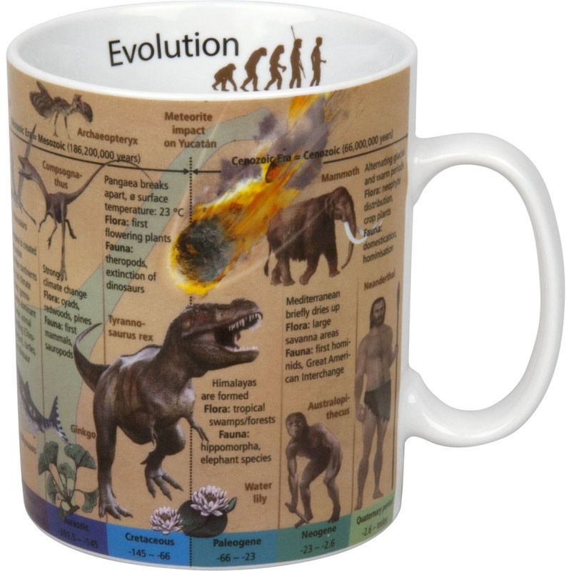 Könitz Taza Mugs of Knowledge Evolution (Inglés)