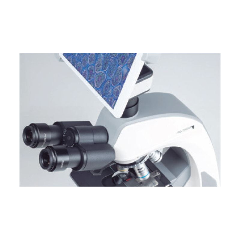 Motic Cámara BTX8, 5,0MP, 8