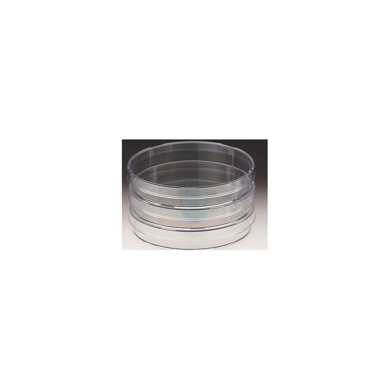 Omegon Microscopio estereoscópico StereoView, 80x, LED, set naturalista playa