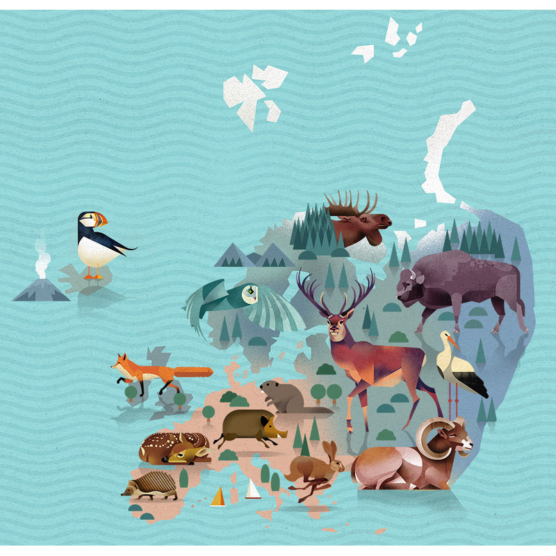 Marmota Maps Mapamundi El mundo de los animales