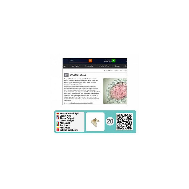 Bresser Junior Set de accesorios para microscopios con códigos QR