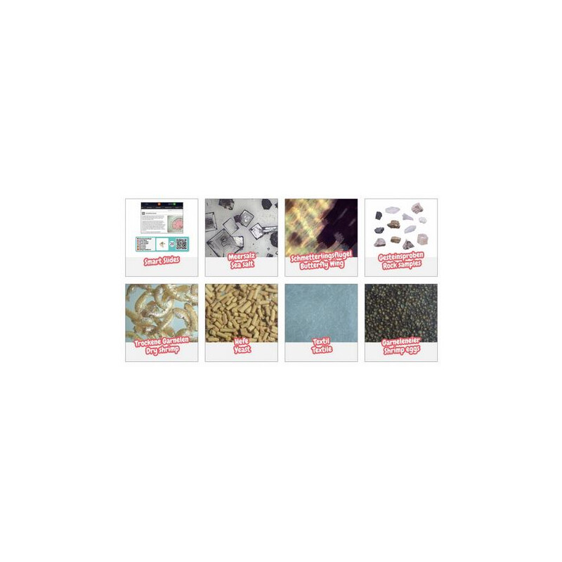 Bresser Junior Set de accesorios para microscopios con códigos QR