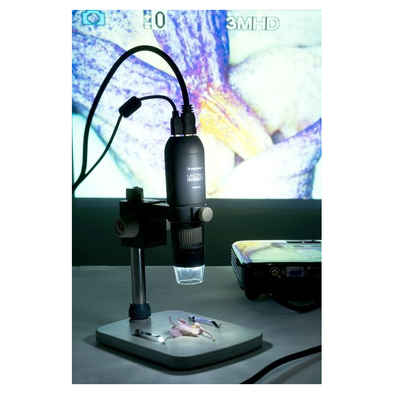 Celestron Microscopio MicroDirect 1080p HDMI
