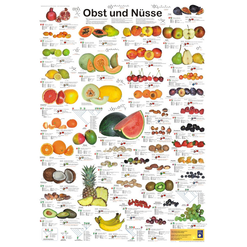 Planet Poster Editions Póster Obst und Nüsse