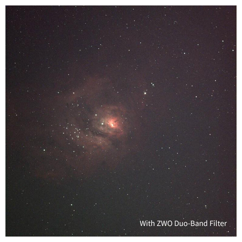 ZWO Filtro Doble banda 1,25"