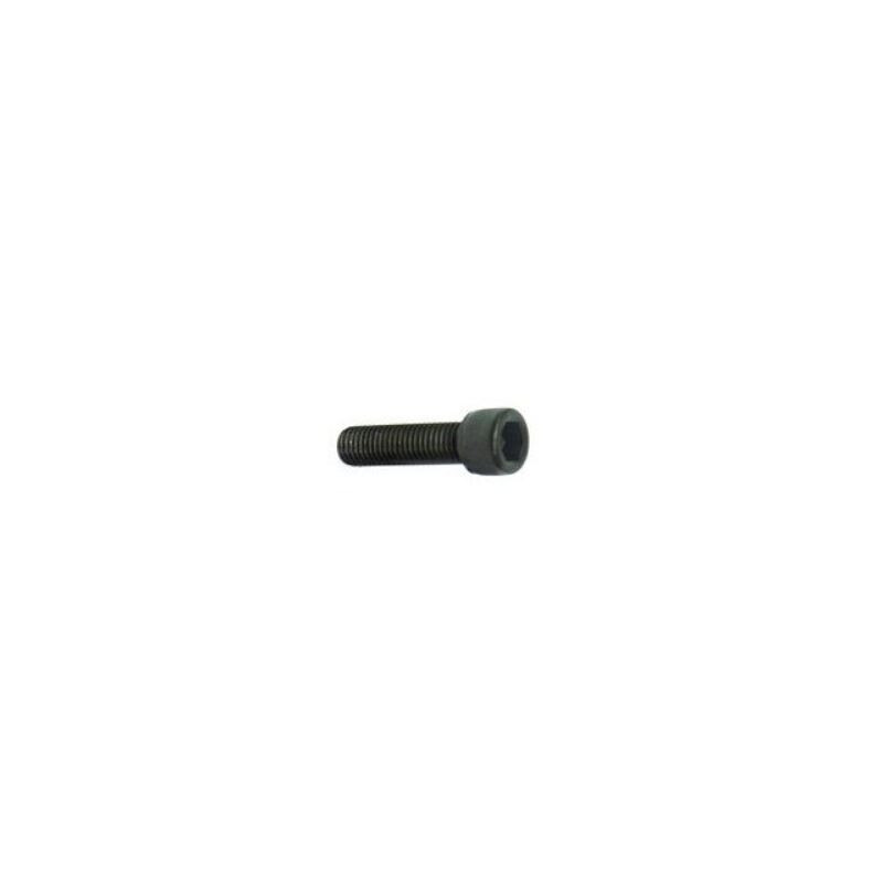 Artesky Tornillo de rosca 1/4" hexágono interior 10 mm