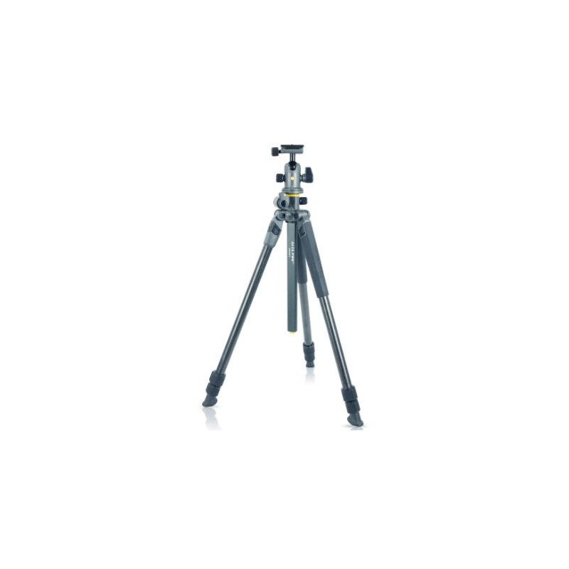 Vanguard Trípode de carbono Alta Pro 2+ 263CB 100