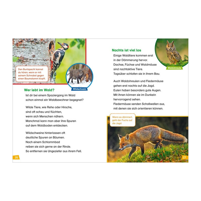 Tessloff-Verlag Primera lectura WAS IST WAS: Descubriendo la naturaleza