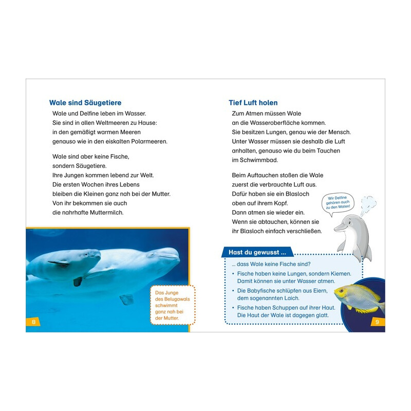 Tessloff-Verlag WAS IST WAS Primera lectura: Ballenas y delfines