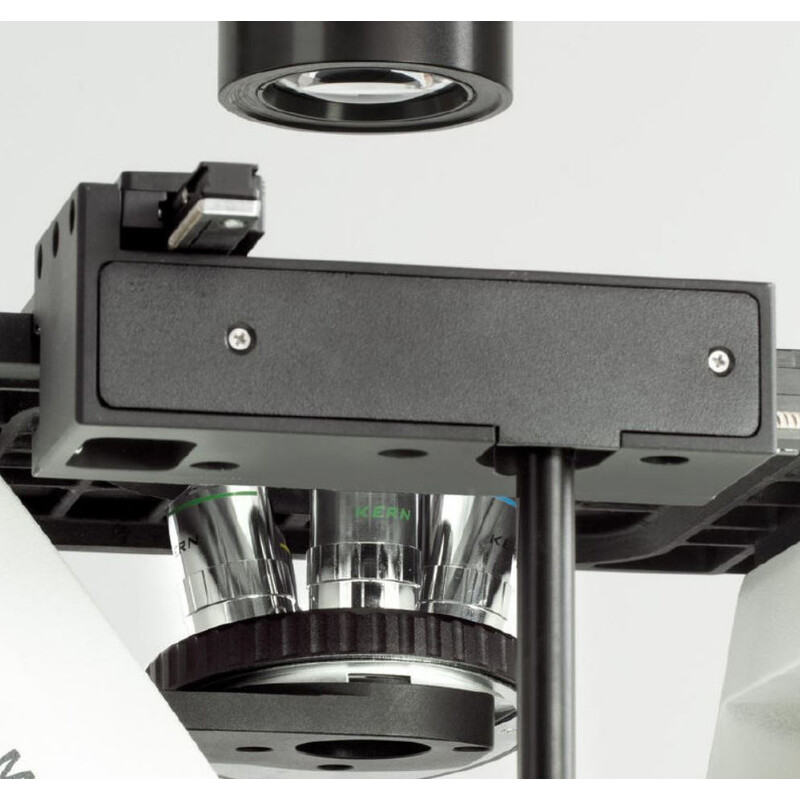 Kern Microscopio invertido Trino, 100W HBO EPI-FL (B/G), Inf Plan 10/20/40/20PH, WF10x22, 30W Hal, OCM 165