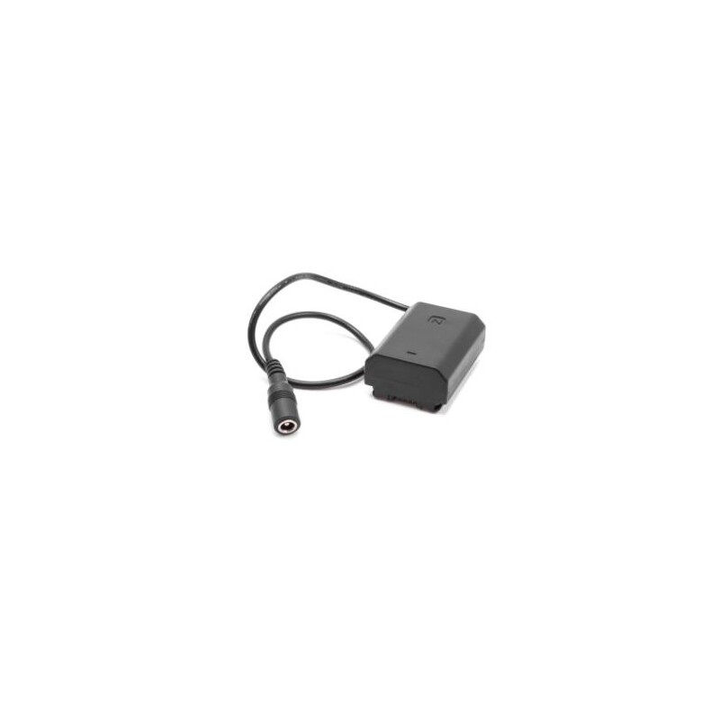 PegasusAstro DSLR Pilas Adapter NP-FZ100