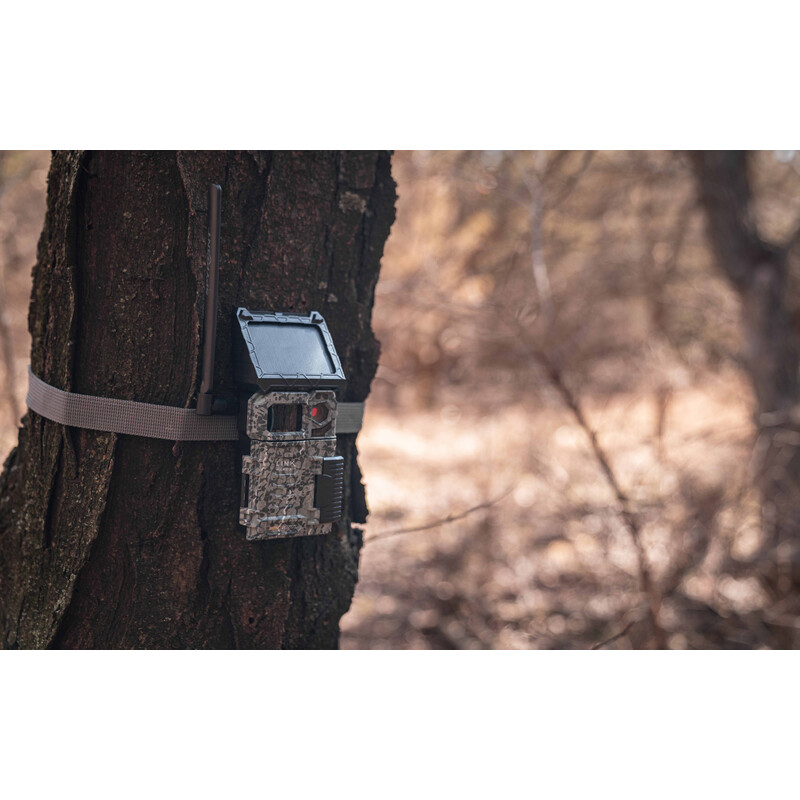 Spypoint Cámara de caza LINK-MICRO-S LTE
