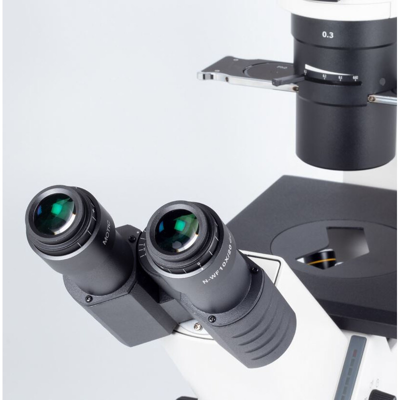 Motic Microscopio invertido AE31E bino, infinity, 40x-400x, phase, Hal, 30W