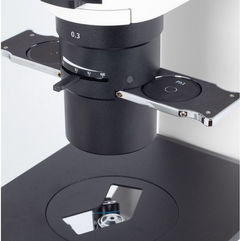 Motic Microscopio invertido AE31E bino, infinity, 40x-400x, phase, Hal, 30W