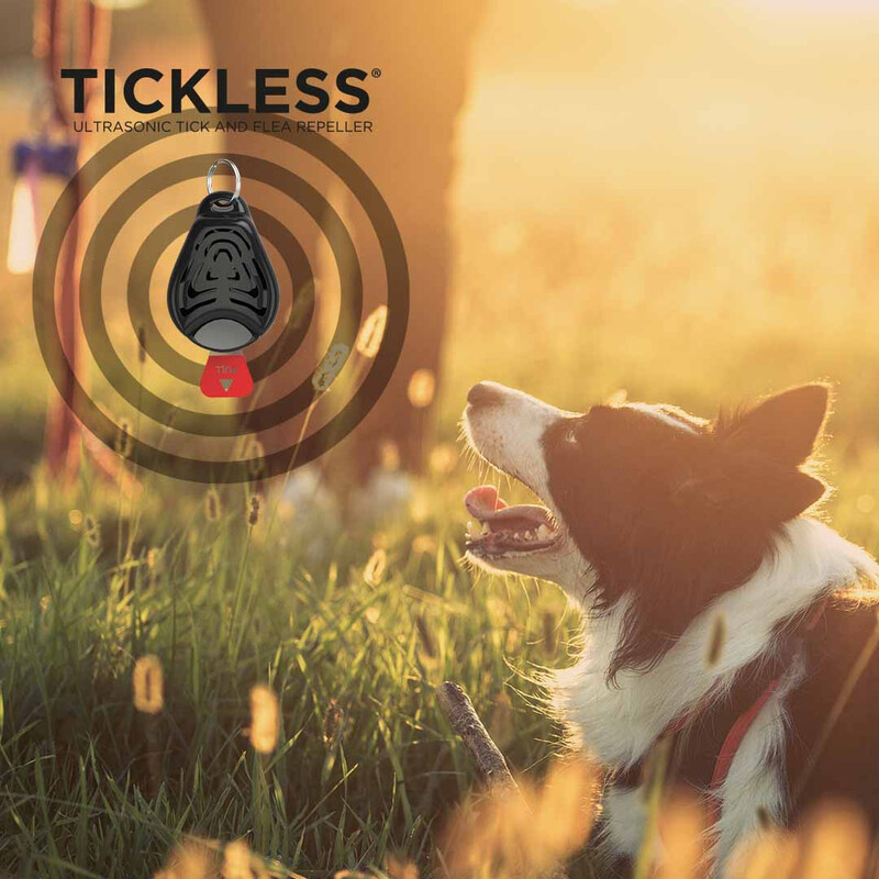 Tickless Mascota