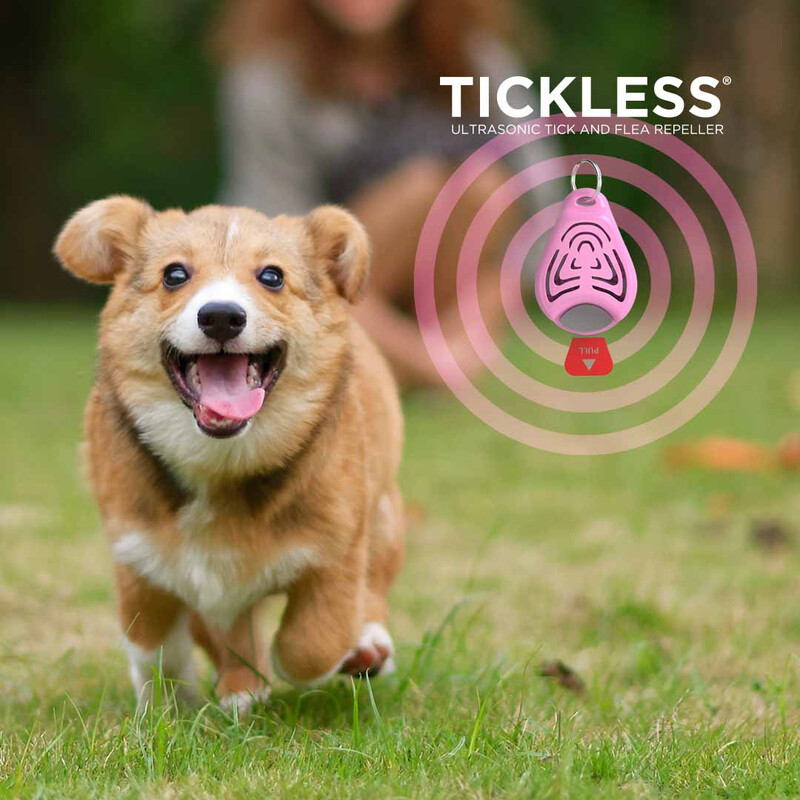 Tickless Mascota