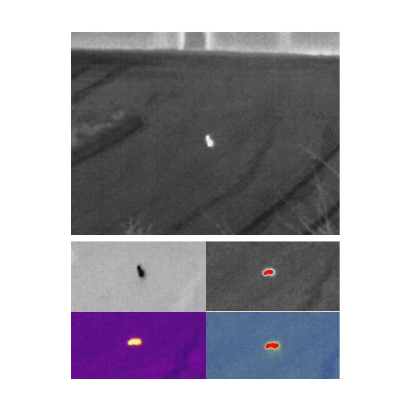 Guide Dispositivo de imagen térmica Track IR19 Pro