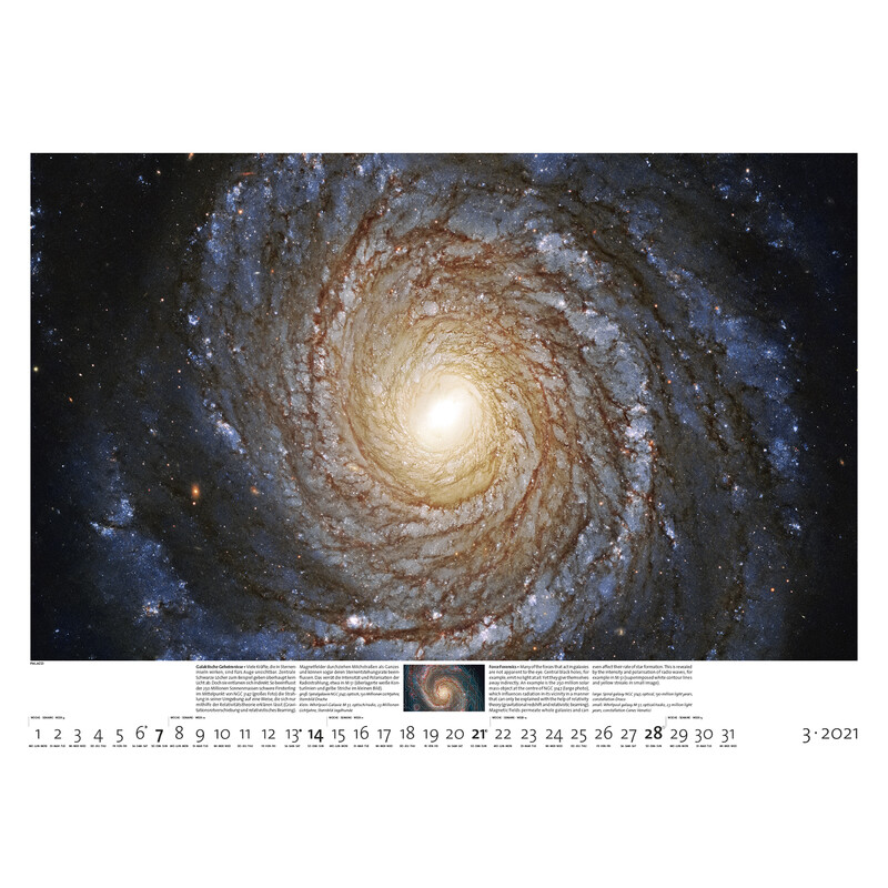 Palazzi Verlag Calendarios Sternzeit 2021