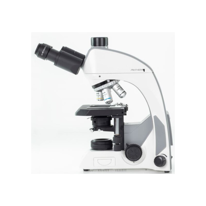 Motic Microscopio Panthera C, trino, infinity, plan, achro, 40x-1000x, Halogen