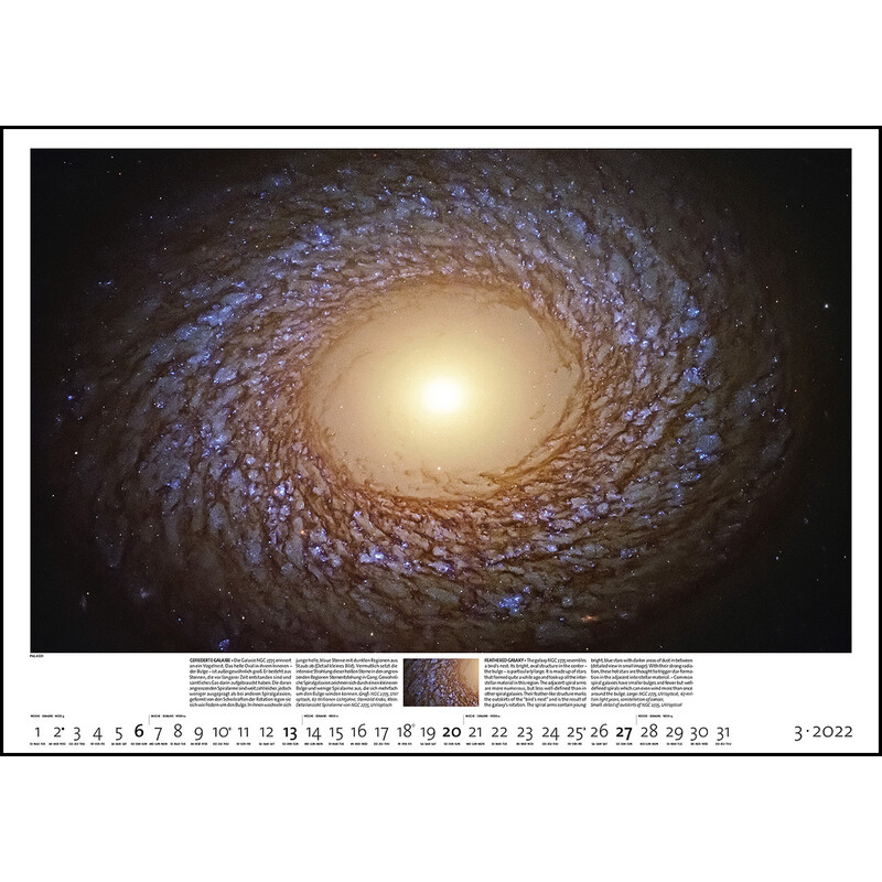 Palazzi Verlag Calendarios Sternzeit 2022