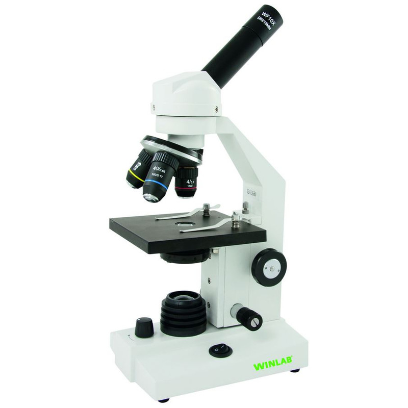 Windaus Microscopio HPM 100 LED