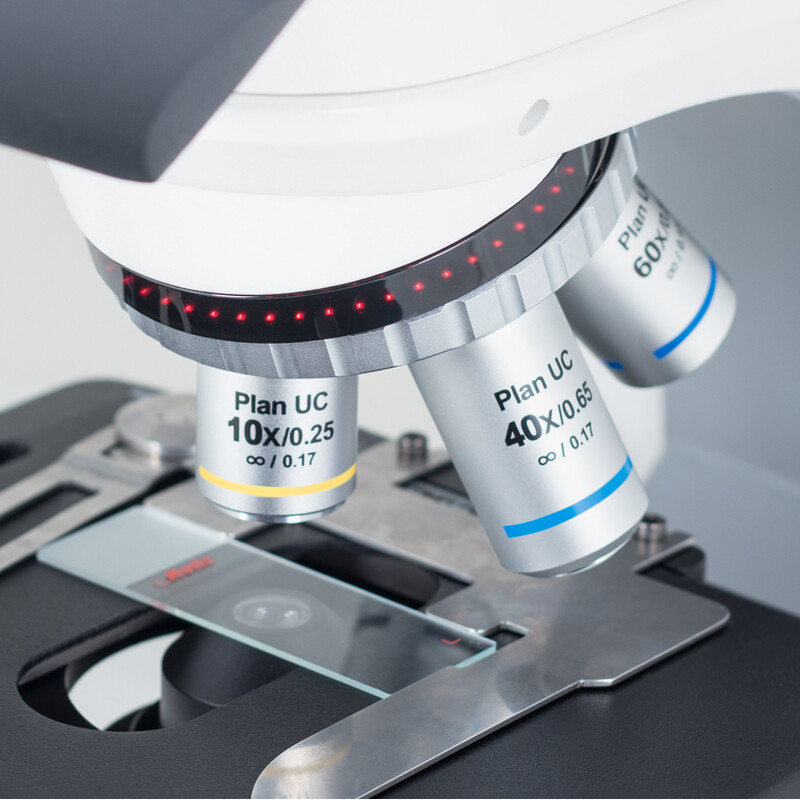 Motic Microscopio Panthera C2, Trinocular (sin 100X), infinity, plan, achro, 40x-400x, Halogen/LED