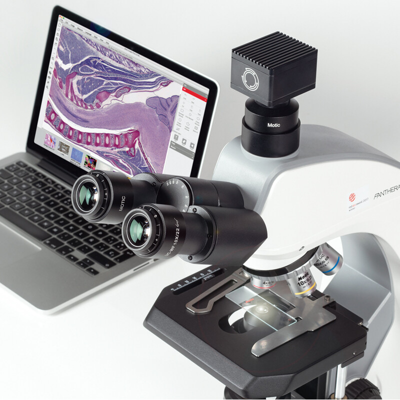 Motic Microscopio Panthera C2, Trinocular (sin 100X), infinity, plan, achro, 40x-400x, Halogen/LED