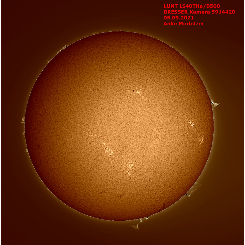 Lunt Solar Systems Telescopio solar ST 40/400 LS40T Ha B1200
